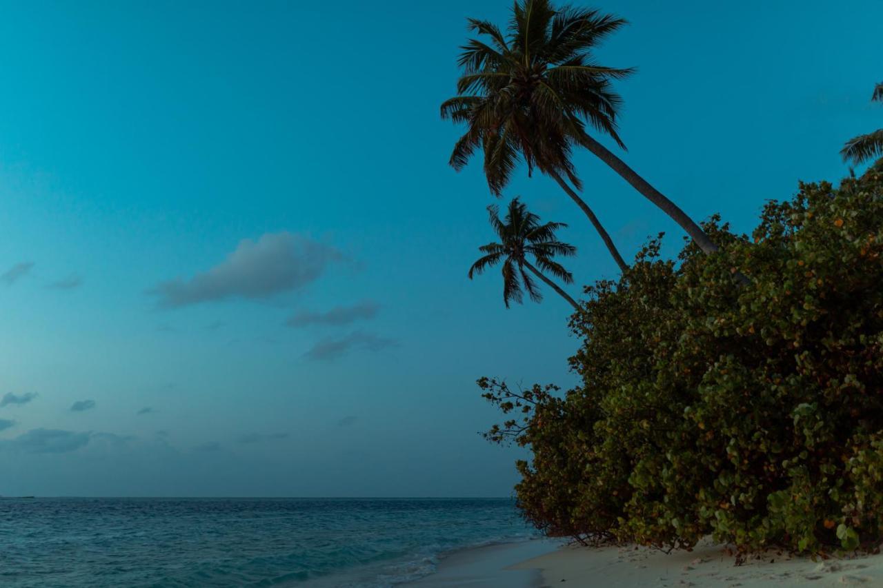 Wow Retreat Hotel Felidhoo Luaran gambar