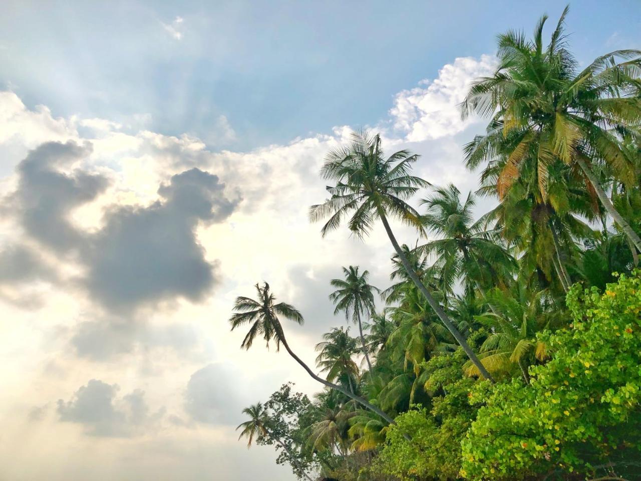 Wow Retreat Hotel Felidhoo Luaran gambar