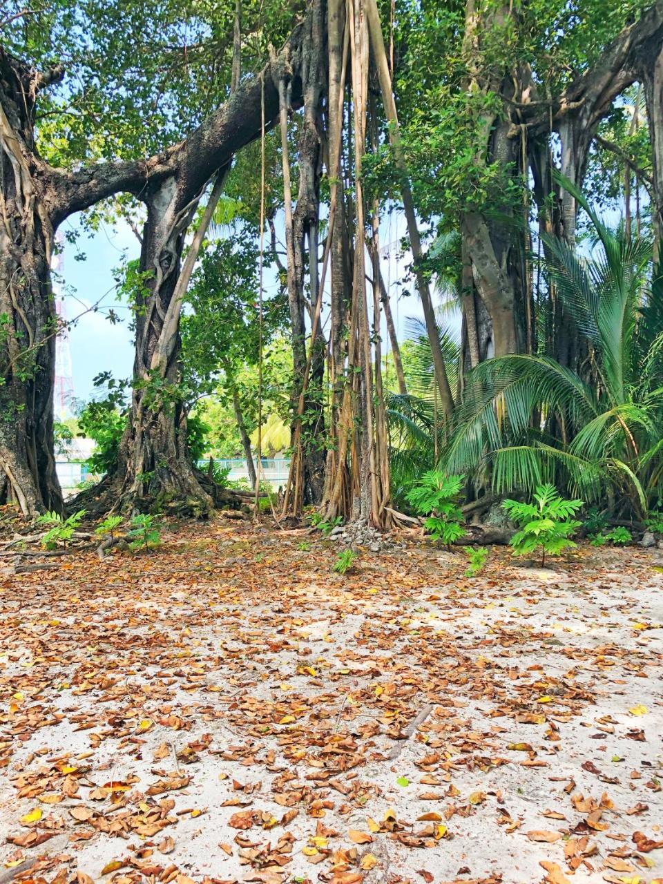 Wow Retreat Hotel Felidhoo Luaran gambar