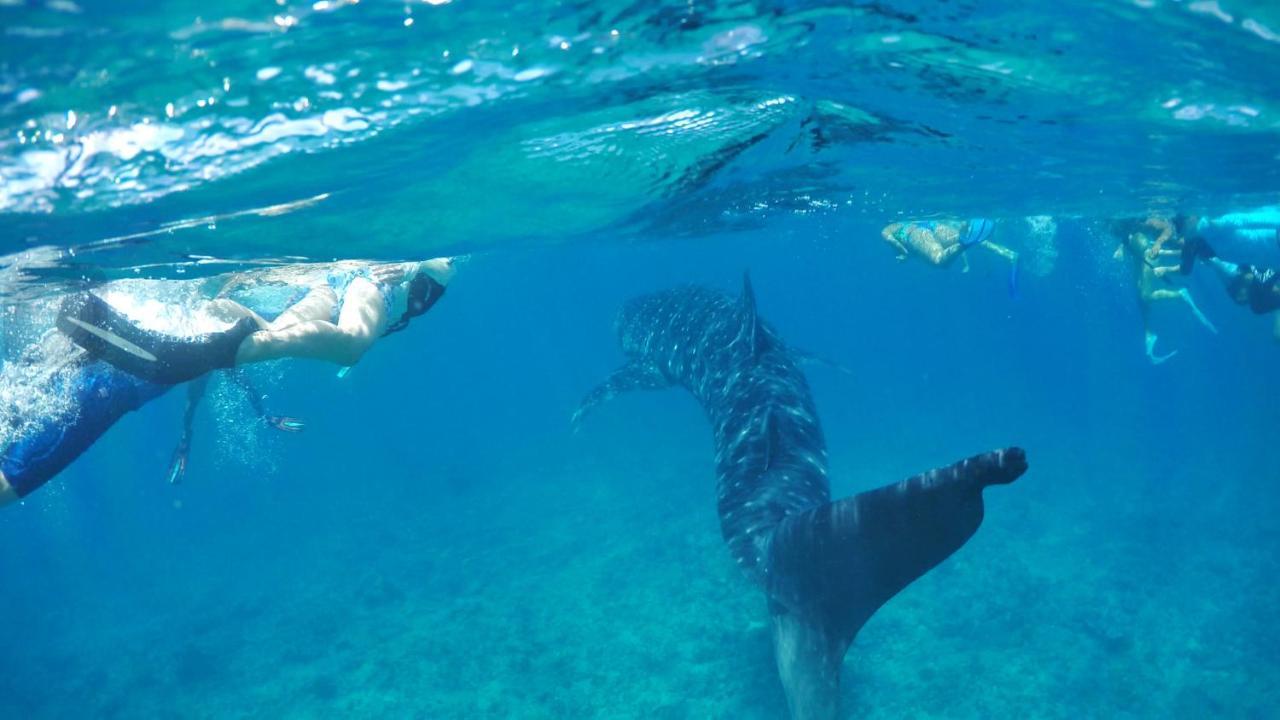 Wow Retreat Hotel Felidhoo Luaran gambar